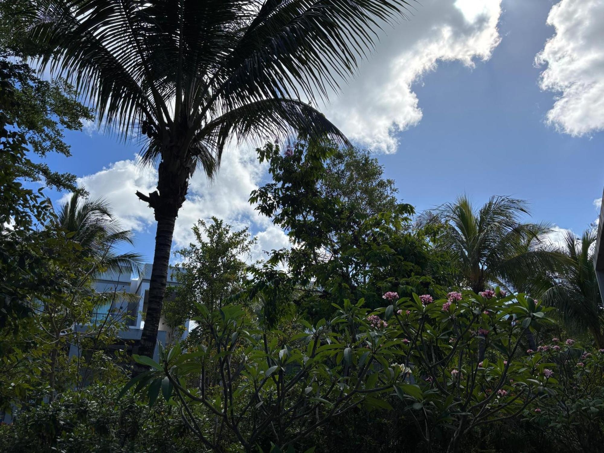 Mont Choisy Le Parc By Pam Goldingアパートメント エクステリア 写真